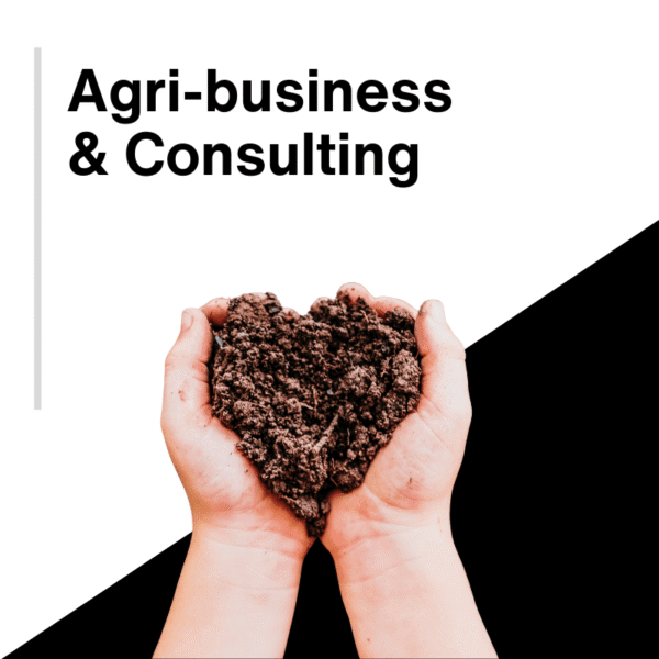 Agriculture Business Consulting Website Development Services | Professional Farm Consultant Web Design